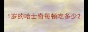 1岁的哈士奇每顿吃多少