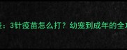 宠物疫苗最佳时间表3针疫苗怎么打幼宠到成年的全攻略附注意事项