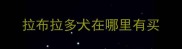 拉布拉多犬在哪里有买