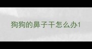狗狗的鼻子干怎么办