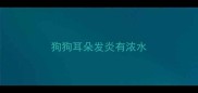 狗狗耳朵发炎有浓水