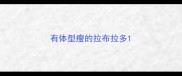 有体型瘦的拉布拉多