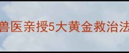 狗瘟晚期抢救指南兽医亲授5大黄金救治法附家庭护理全流程