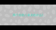 两个月的八哥犬吃什么