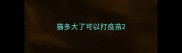 猫多大了可以打疫苗
