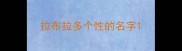 拉布拉多个性的名字