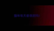 猫咪每天都很困吗