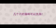 几个月的猫咪可以洗澡
