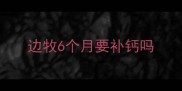 边牧6个月要补钙吗