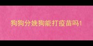 狗狗分娩狗能打疫苗吗