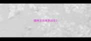 猫咪主动来亲近你