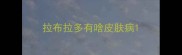 拉布拉多有啥皮肤病