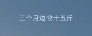 三个月边牧十五斤