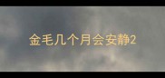 金毛几个月会安静