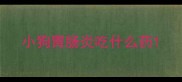 小狗胃肠炎吃什么药