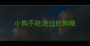 小狗不吃泡过的狗粮