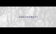 边牧流口水毛氧化了