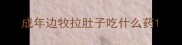 成年边牧拉肚子吃什么药