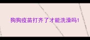 狗狗疫苗打齐了才能洗澡吗