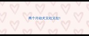 两个月幼犬又吐又拉