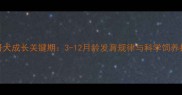 巴哥犬成长关键期3-12月龄发育规律与科学饲养指南