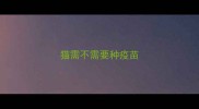 猫需不需要种疫苗