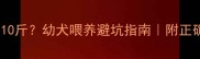 拉布拉多三个月体重才10斤幼犬喂养避坑指南附正确成长曲线表附视频
