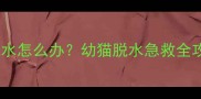 紧急处理猫咪突然休克脱水怎么办幼猫脱水急救全攻略附脱水症状自检表