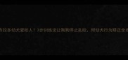 拉布拉多幼犬爱咬人3步训练法让狗狗停止乱咬附幼犬行为矫正全攻略