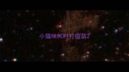 小猫咪何时打疫苗