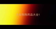 大型狗狗用品大全