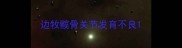 边牧髋骨关节发育不良