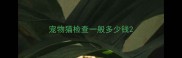 宠物猫检查一般多少钱