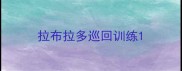 拉布拉多巡回训练