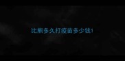 比熊多久打疫苗多少钱