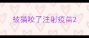 被猫咬了注射疫苗