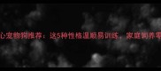 最省心宠物狗推荐这5种性格温顺易训练家庭饲养零压力