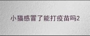 小猫感冒了能打疫苗吗