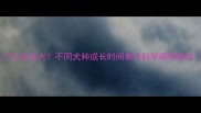 详细指南小狗狗几个月长多大不同犬种成长时间表及科学喂养建议附阶段对比图