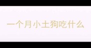 一个月小土狗吃什么