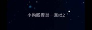 小狗肠胃炎一直吐