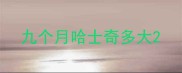 九个月哈士奇多大