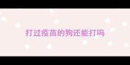 打过疫苗的狗还能打吗