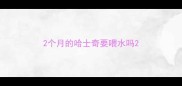 2个月的哈士奇要喂水吗