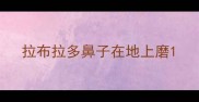 拉布拉多鼻子在地上磨