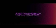 石家庄好的宠物店