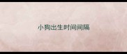 小狗出生时间间隔