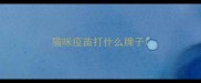 猫咪疫苗打什么牌子
