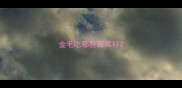 金毛吃哪些蔬菜好