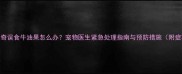 哈士奇误食牛油果怎么办宠物医生紧急处理指南与预防措施附症状